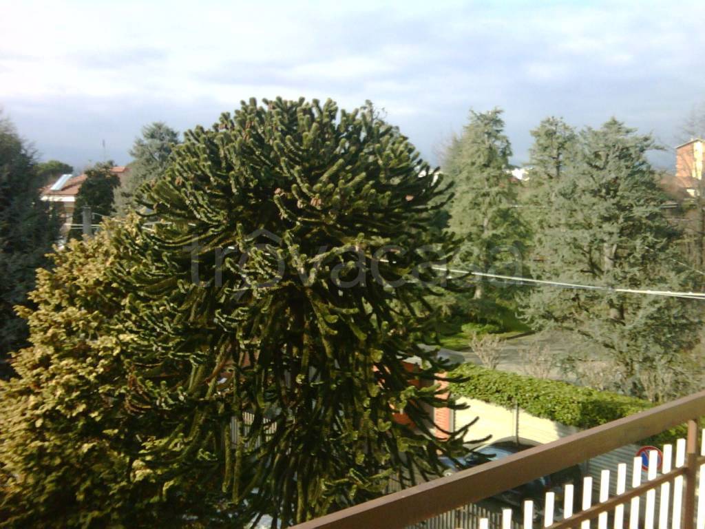 immagine annuncio 1 di 7