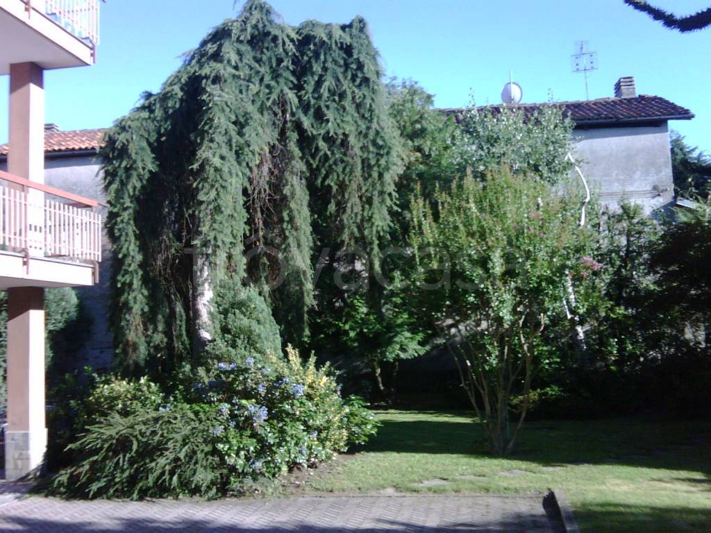 immagine annuncio 2 di 7