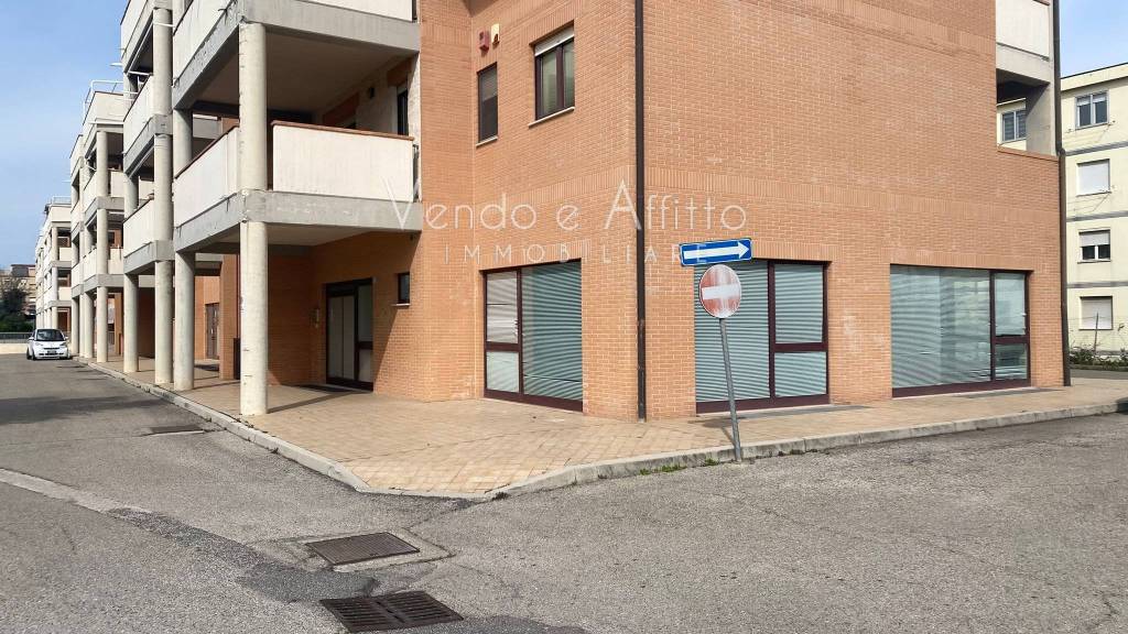 immagine annuncio 1 di 3