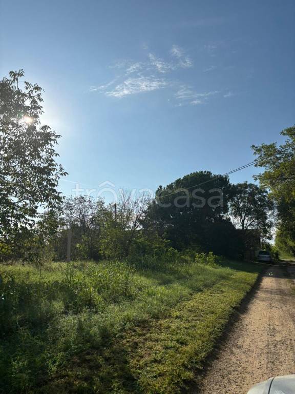 immagine annuncio 4 di 7