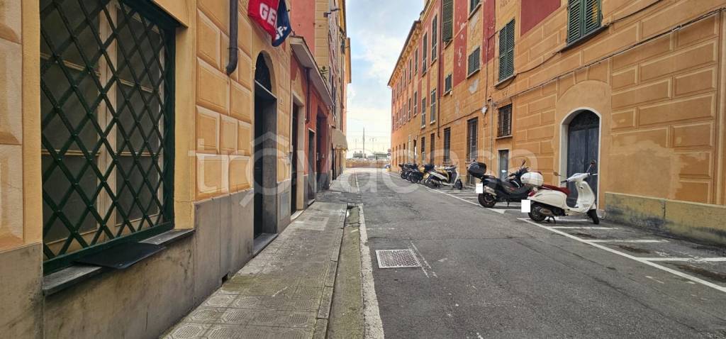 immagine annuncio 13 di 14