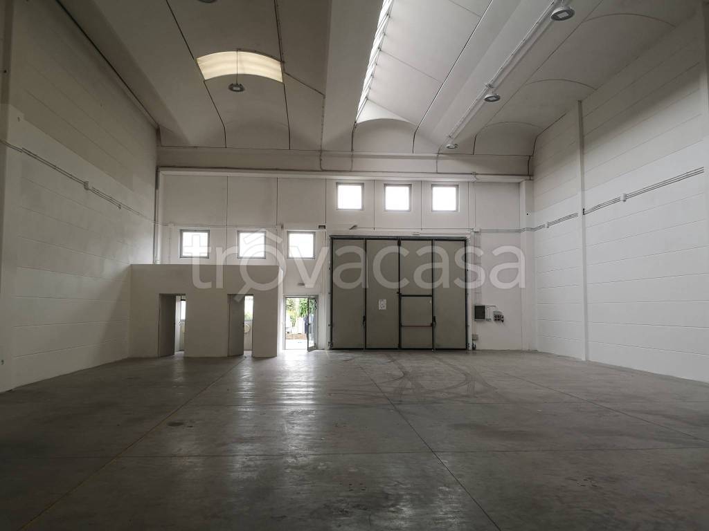 immagine annuncio 6 di 9