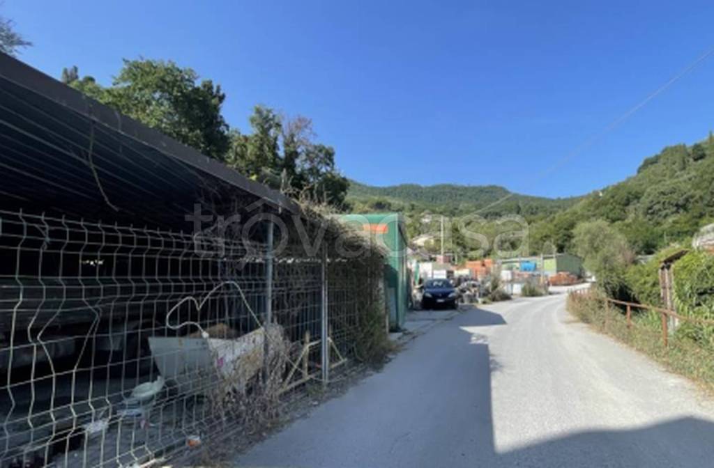 immagine annuncio 7 di 11