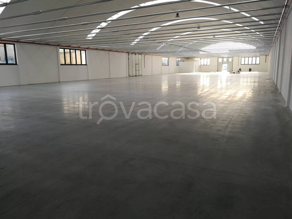 immagine annuncio 2 di 9