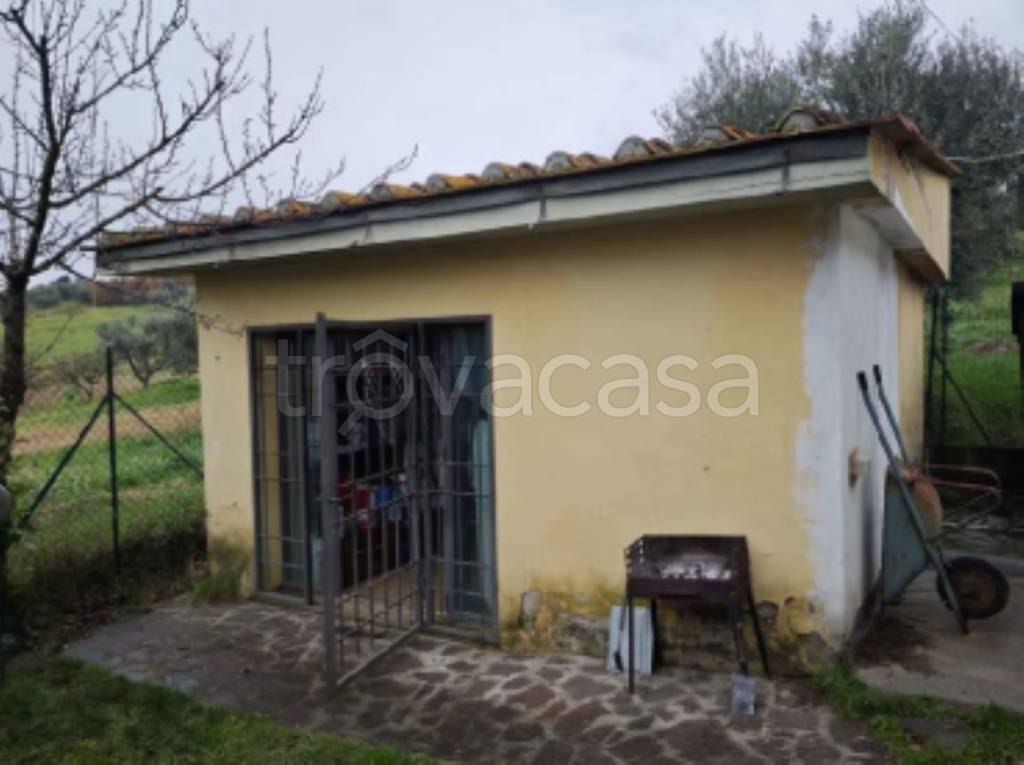 immagine annuncio 4 di 13