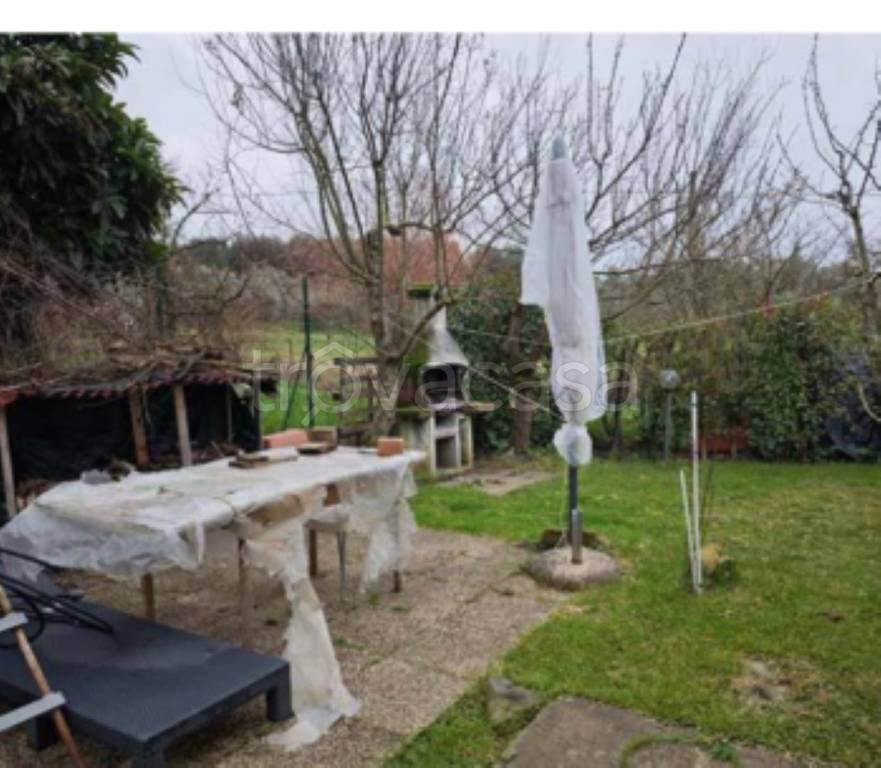 immagine annuncio 5 di 13