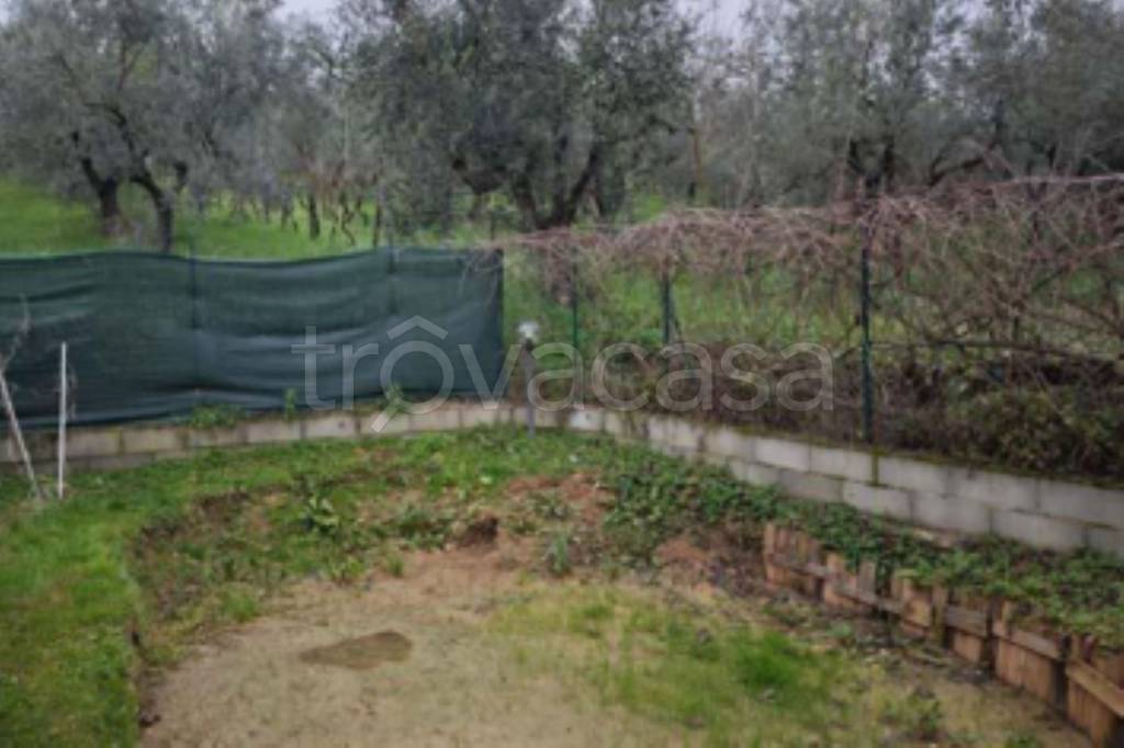 immagine annuncio 8 di 13