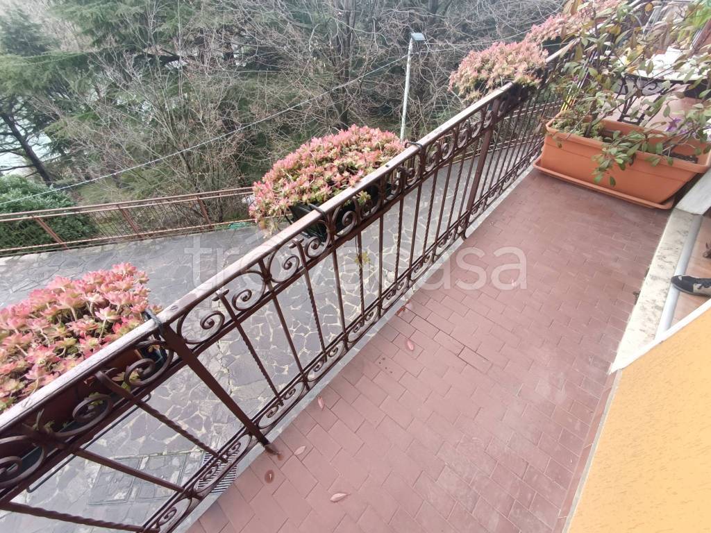 immagine annuncio 4 di 6