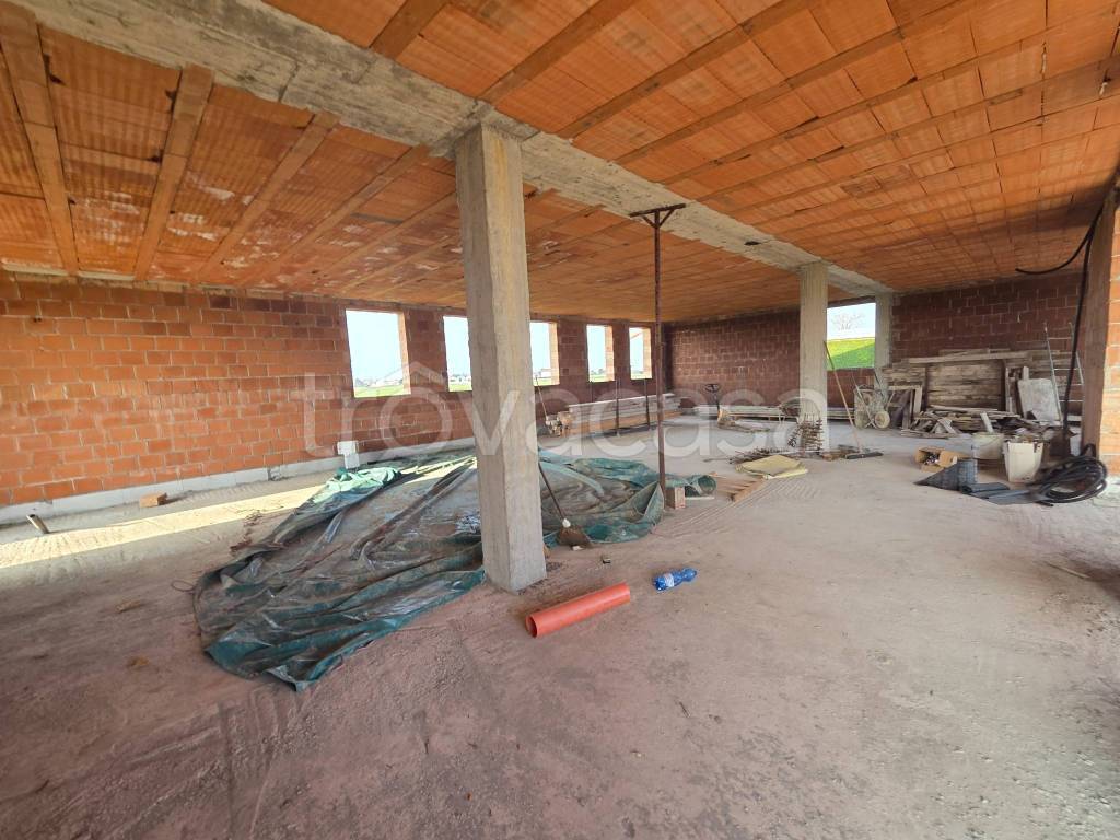 immagine annuncio 3 di 6