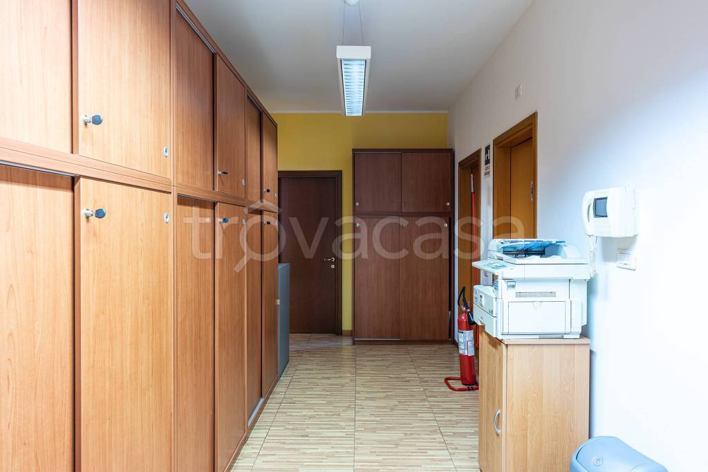 immagine annuncio 9 di 14