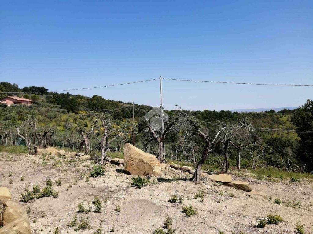 immagine annuncio 3 di 8