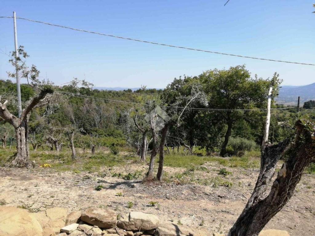 immagine annuncio 5 di 8