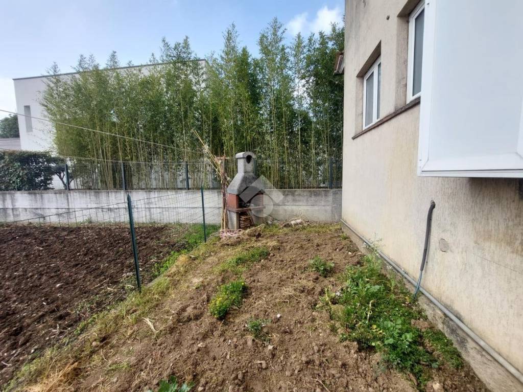 immagine annuncio 11 di 14