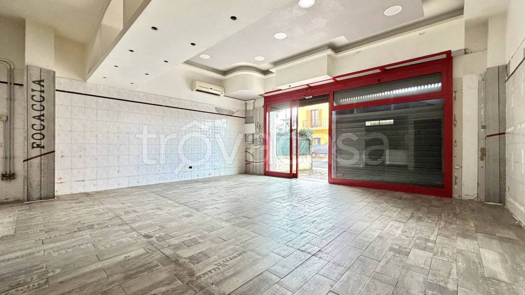 immagine annuncio 5 di 11