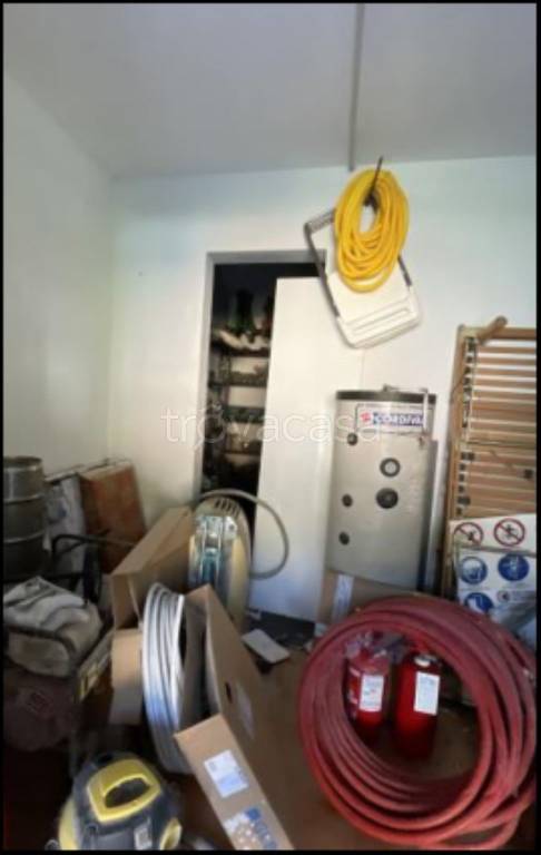 immagine annuncio 5 di 11