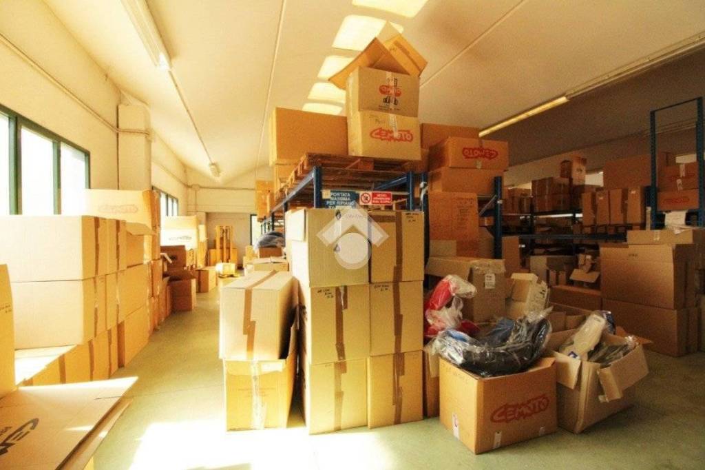 immagine annuncio 9 di 15