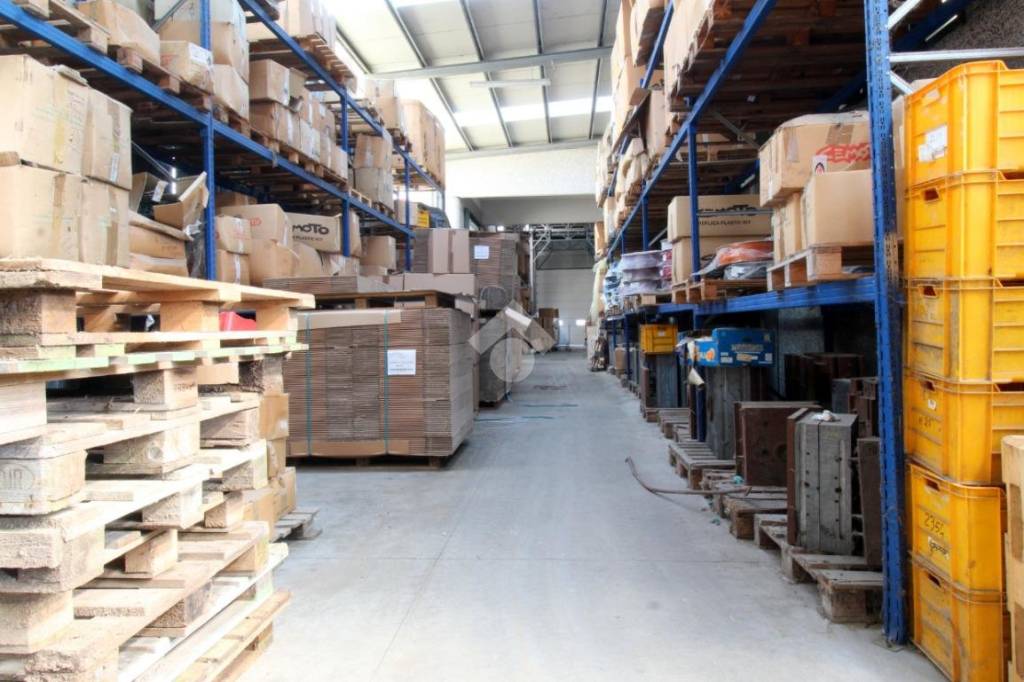 immagine annuncio 12 di 15