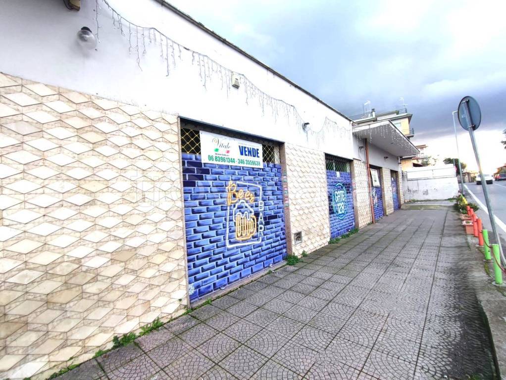 immagine annuncio 1 di 14