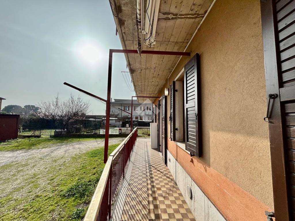 immagine annuncio 7 di 15