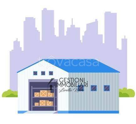 immagine annuncio 1 di 11