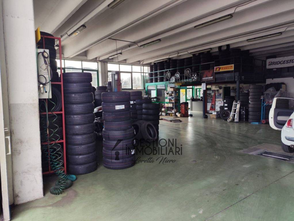 immagine annuncio 6 di 11