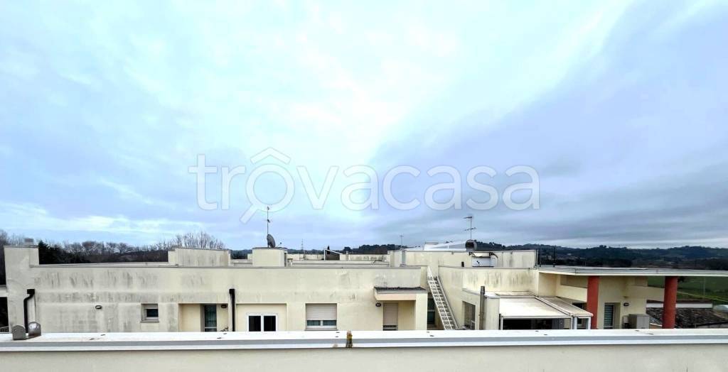 immagine annuncio 3 di 12