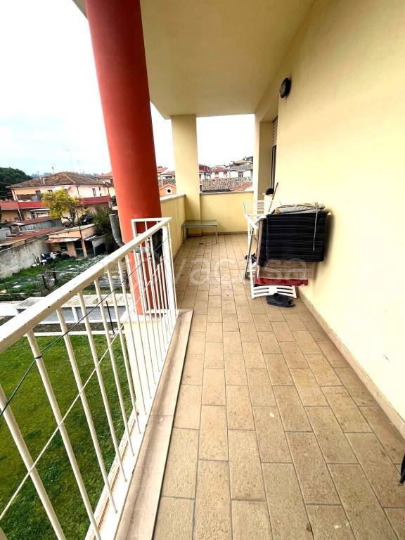 immagine annuncio 7 di 12