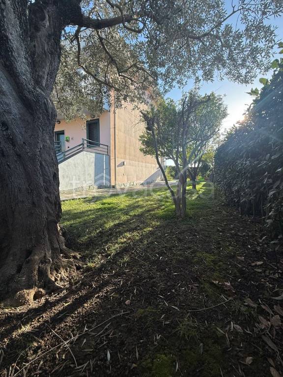 immagine annuncio 2 di 7