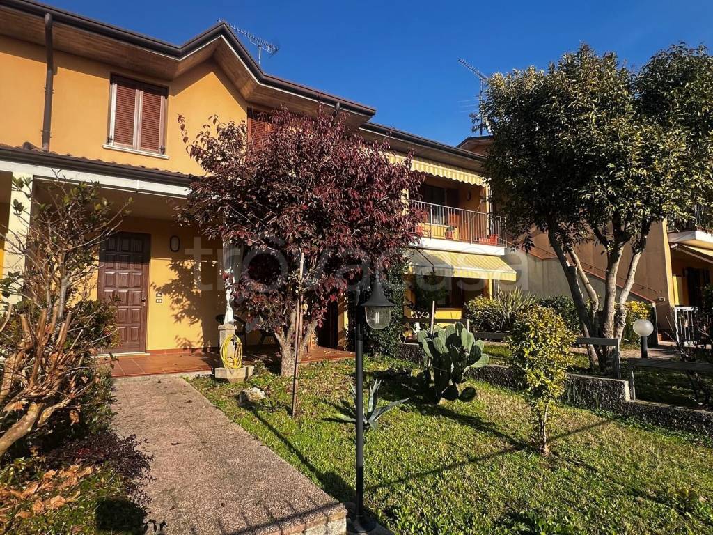 immagine annuncio 1 di 15