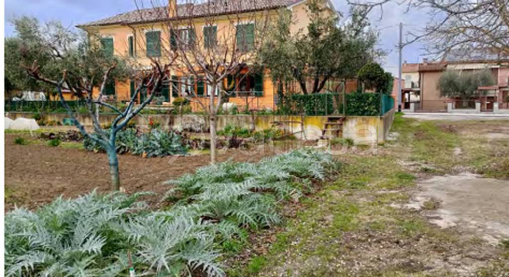 immagine annuncio 3 di 9