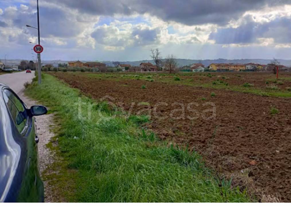 immagine annuncio 4 di 9