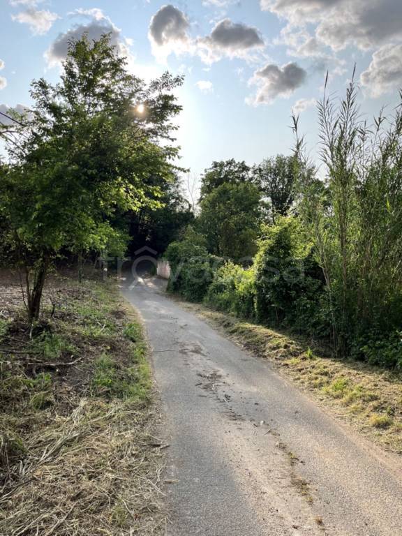 immagine annuncio 5 di 13