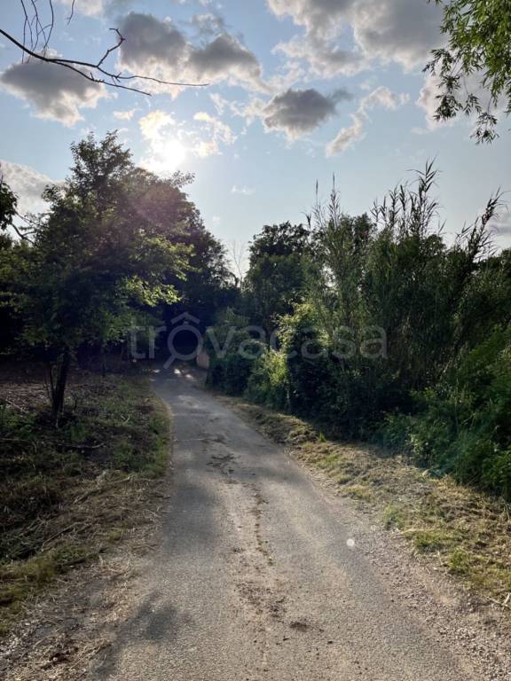 immagine annuncio 6 di 13