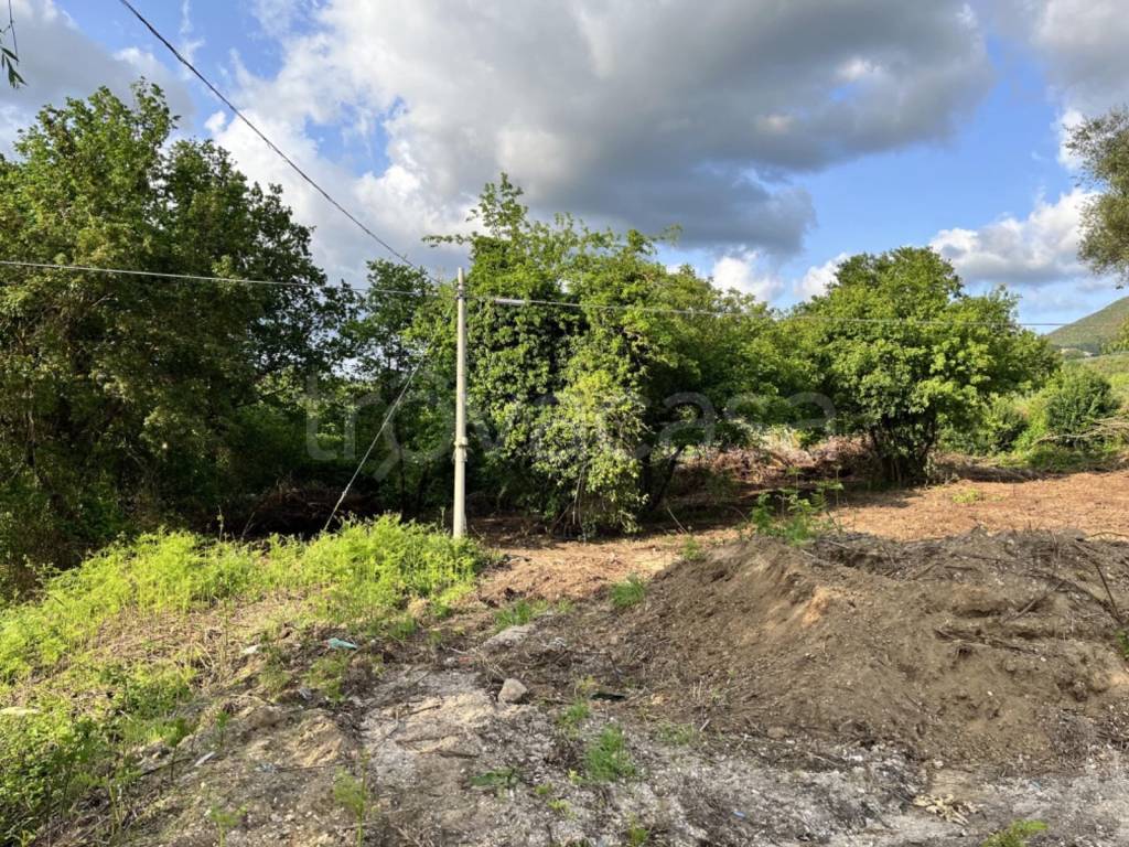 immagine annuncio 12 di 13