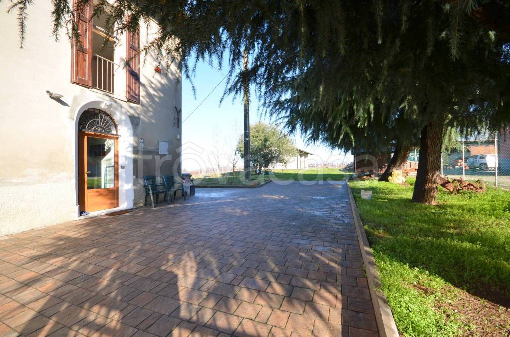 immagine annuncio 5 di 15