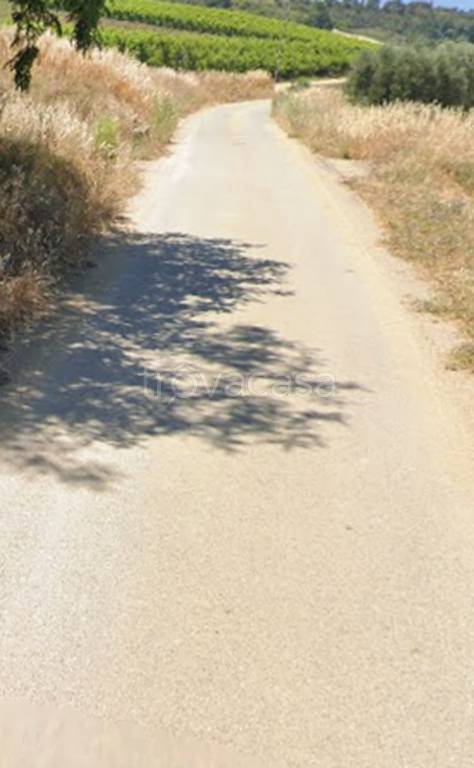 immagine annuncio 8 di 11