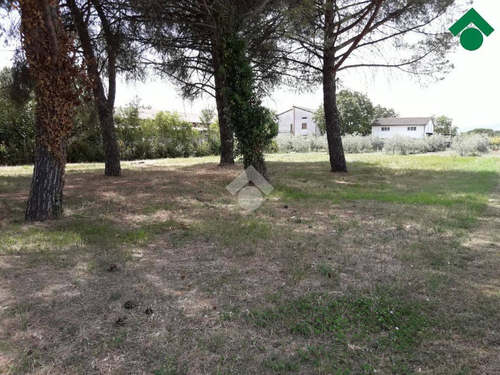 immagine annuncio 3 di 8