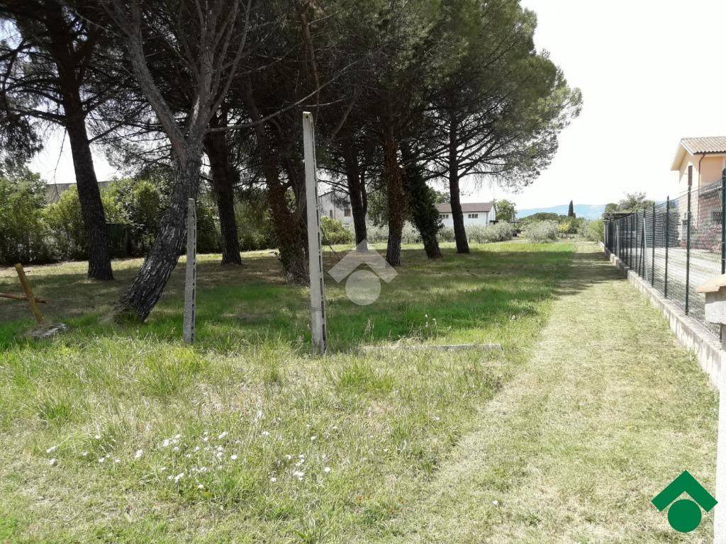 immagine annuncio 4 di 8