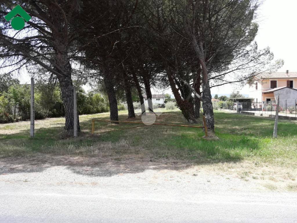 immagine annuncio 6 di 8