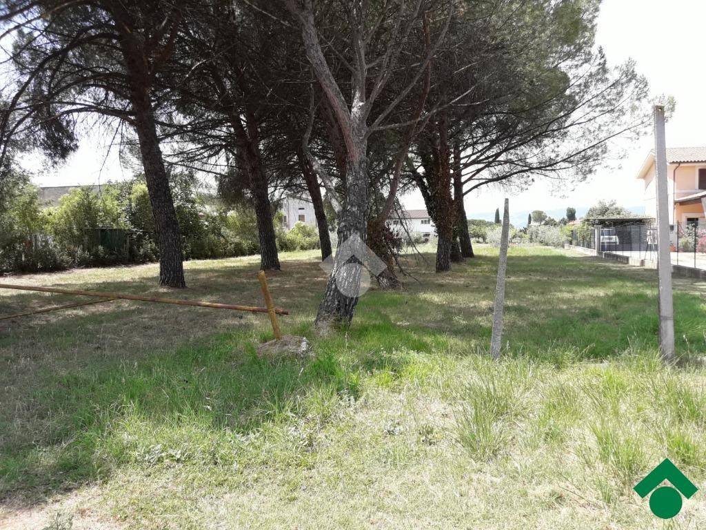 immagine annuncio 7 di 8