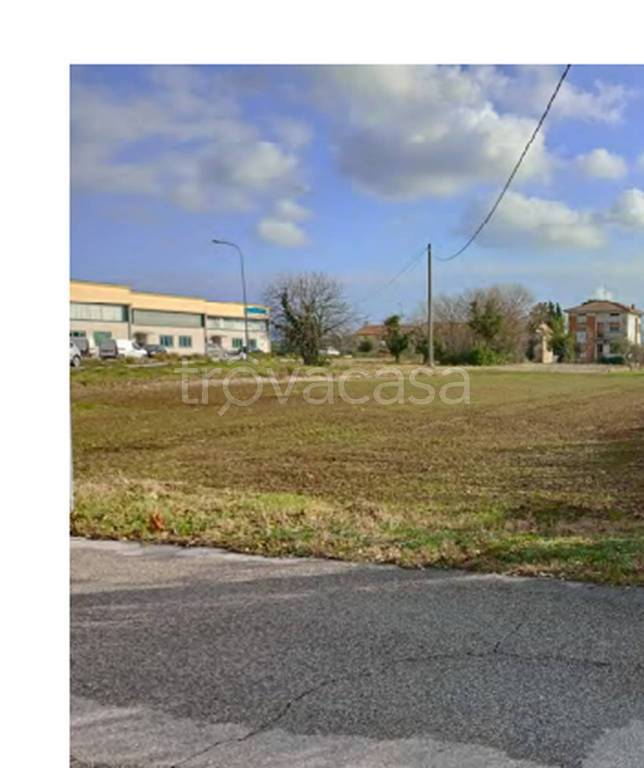 immagine annuncio 3 di 11