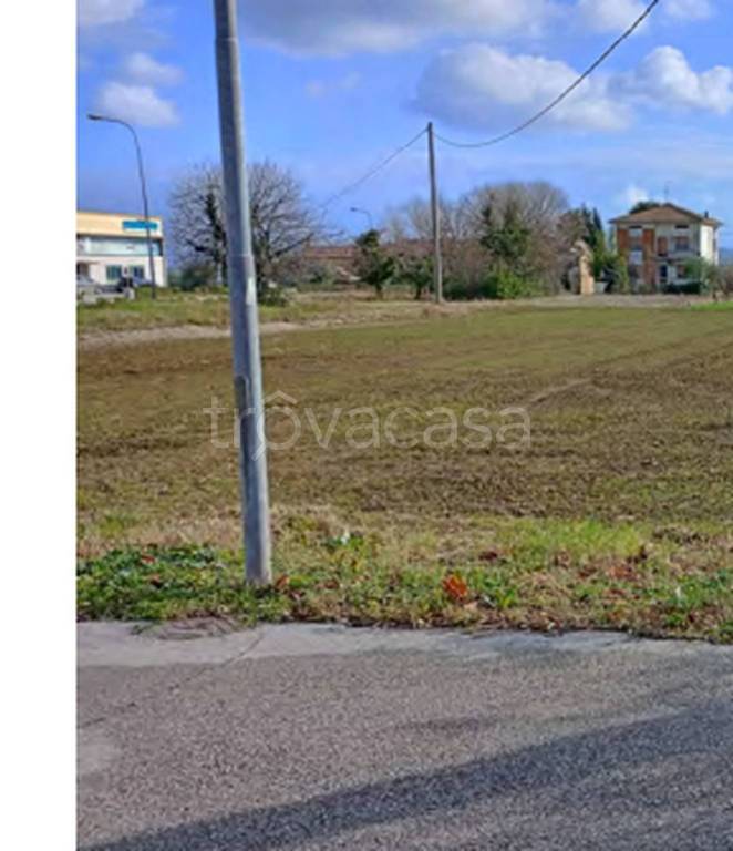 immagine annuncio 5 di 11