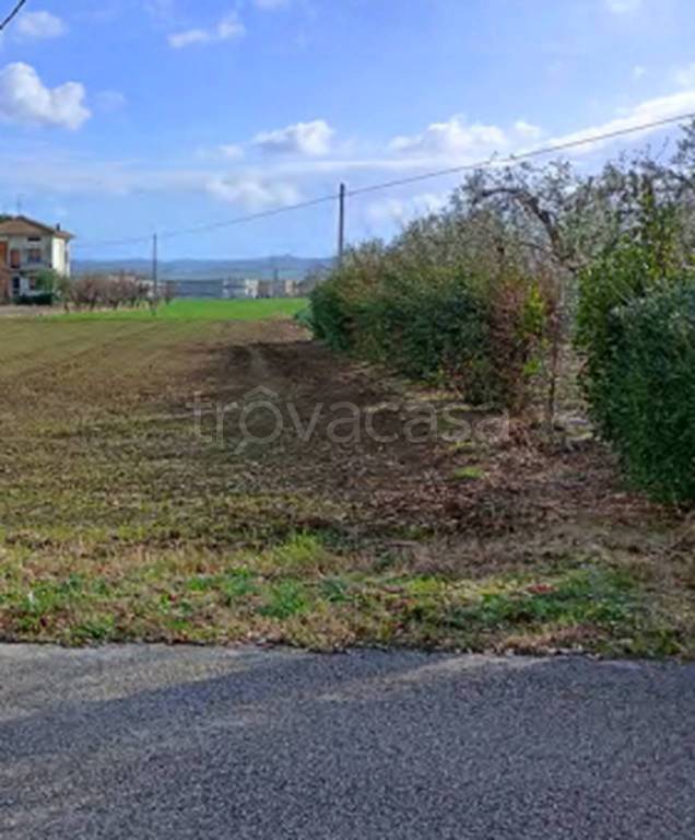 immagine annuncio 6 di 11