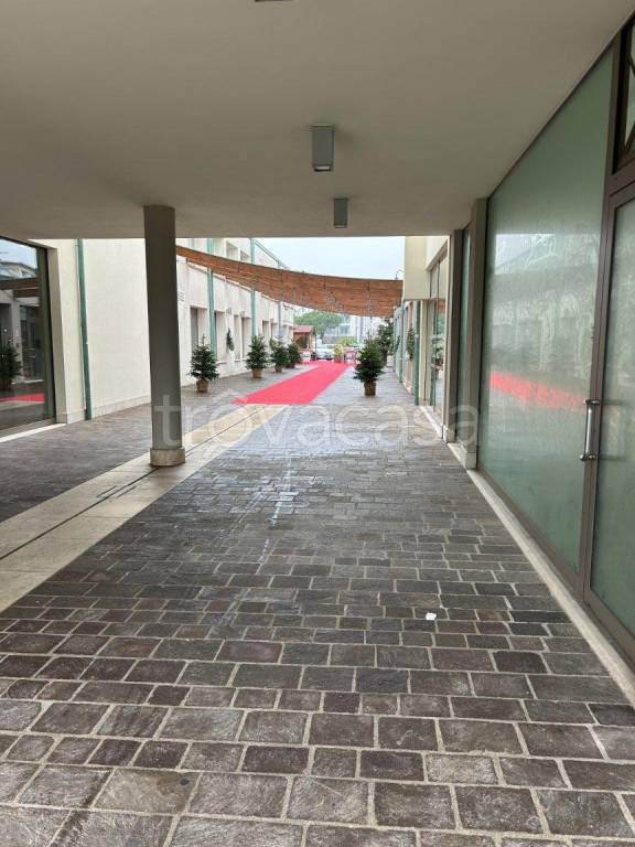 immagine annuncio 7 di 14