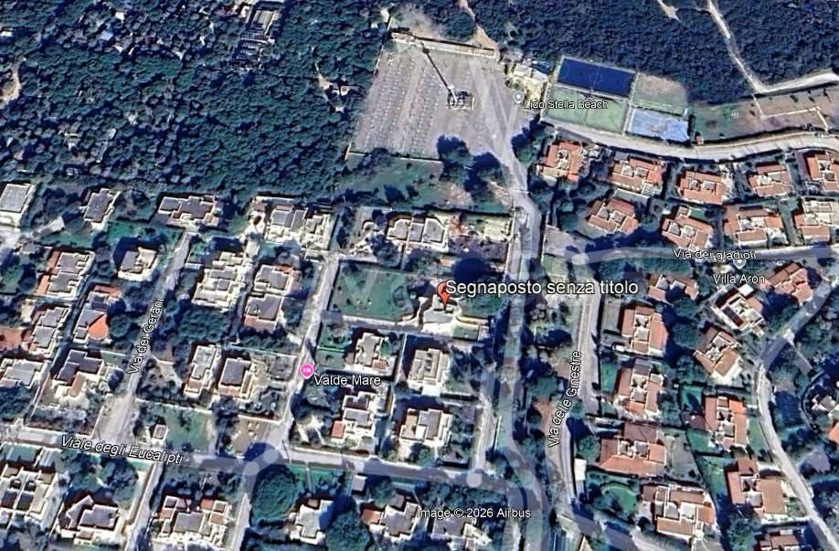 immagine annuncio 12 di 15