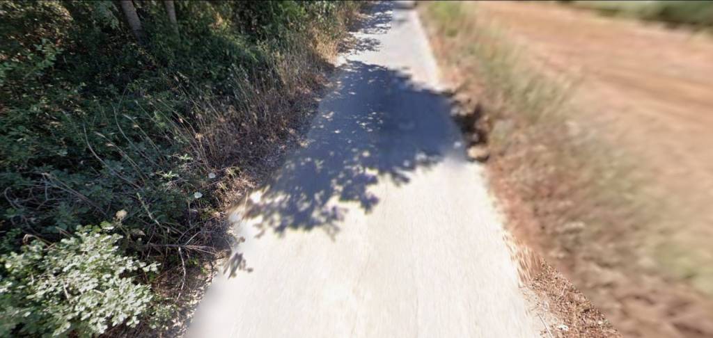 immagine annuncio 11 di 13