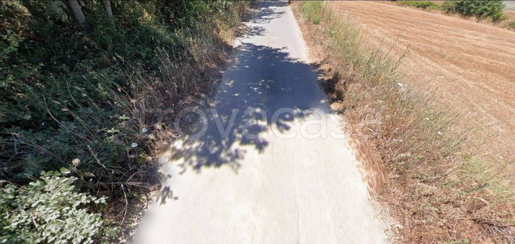 immagine annuncio 12 di 13