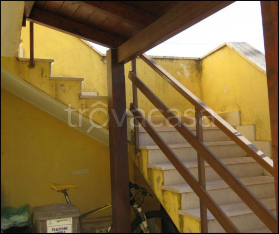 immagine annuncio 5 di 14