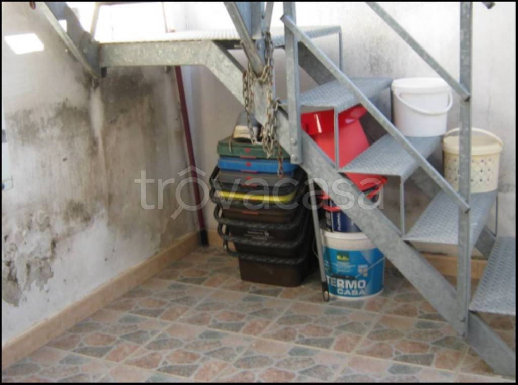 immagine annuncio 12 di 14