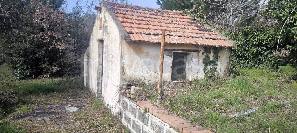 immagine annuncio 3 di 10